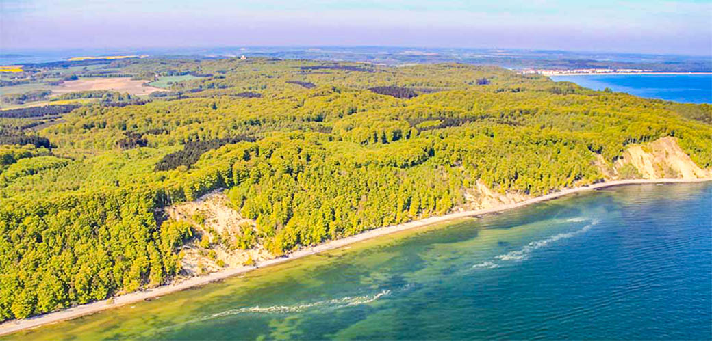 sanfte Hügelketten mit lichten Buchenwäldern,