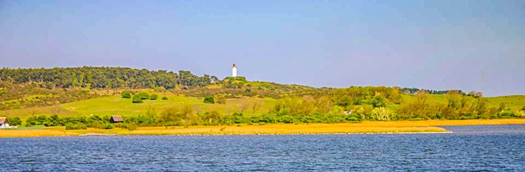 Dornbusch mit dem Leuchtturm