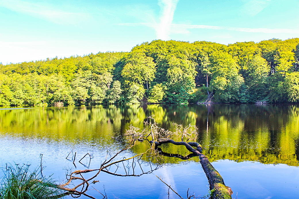 Am sagenumwobenen Herthasee im Nationalpark Jasmund