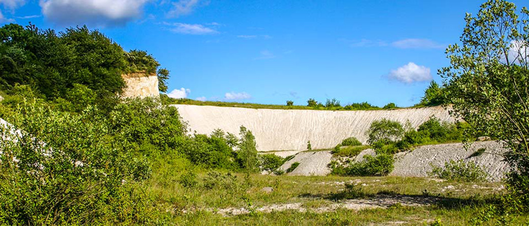 Kreidebruch am Kiekberg