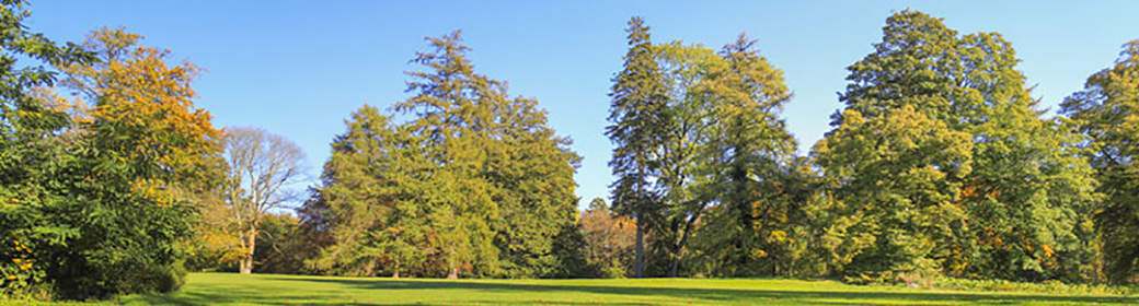 Vorschau Panorama im Schloßpark von Putbus